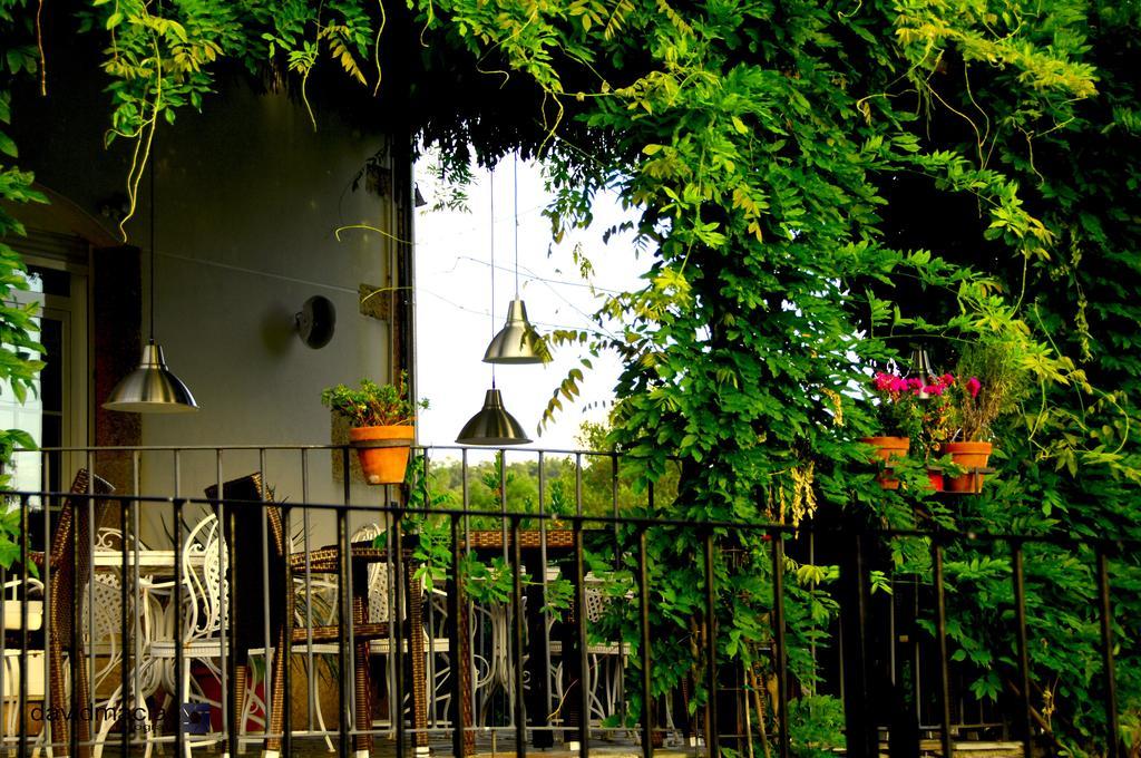 Almazara De San Pedro (Adults Only) Guest House Eljas Exterior photo